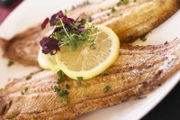 Restaurant Wassenaar Den Haag